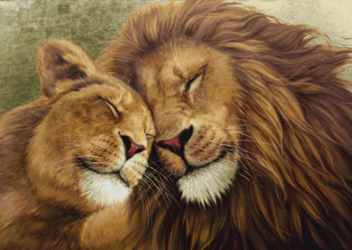 любовь львов - вместе, животные, пара, любовь, львы - предпросмотр