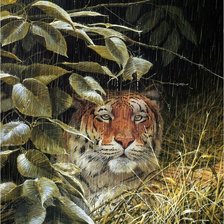 Схема вышивки «Тигр под дождем»