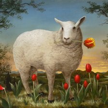 белая овечка (Kevin Sloan)