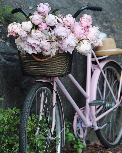 Пионы - корзина, велосипед, пионы, шляпа, цветы - оригинал