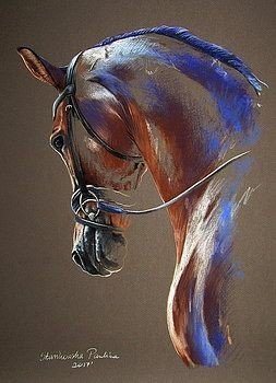 Лошадь - лошадь, портрет, животные - оригинал