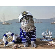 Оригинал схемы вышивки «"Морской" котик» (№2220001)
