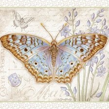 Оригинал схемы вышивки «Бабочка» (№2221245)