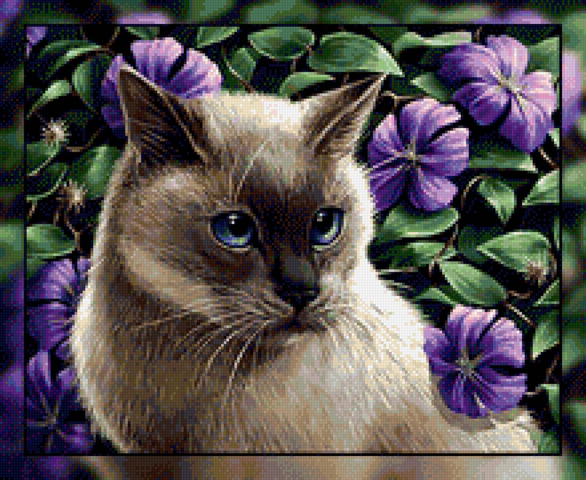 Сиамский кот - цветы, кот - предпросмотр