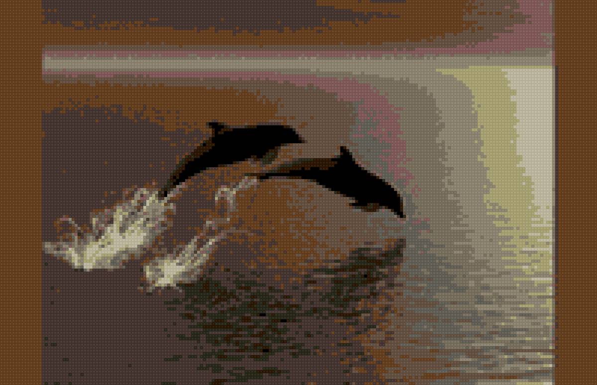 Дельфины-2 - животный мир, дельфины, природа, море - предпросмотр