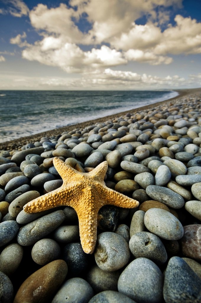 Море - берег, звезда, море - оригинал