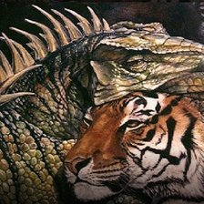 Схема вышивки «Тигр и дракон любовь»