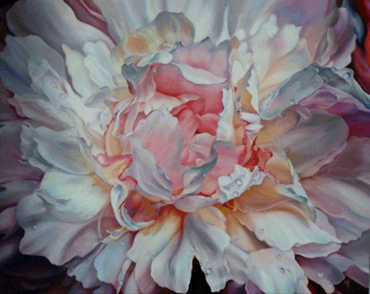 Бело-розовый цветок - предпросмотр