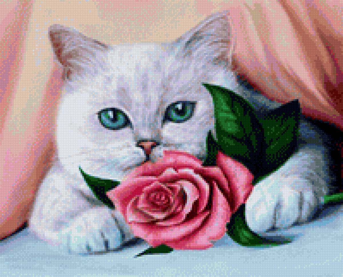 Кошка и цветок - роза, кошка - предпросмотр