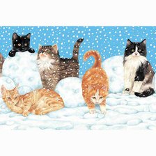 Кошки на снегу