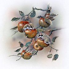 Оригинал схемы вышивки «Мыши на яблоне» (№2233448)