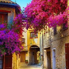 Улица в цветах