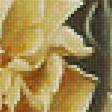 Предпросмотр схемы вышивки «розы» (№2237801)