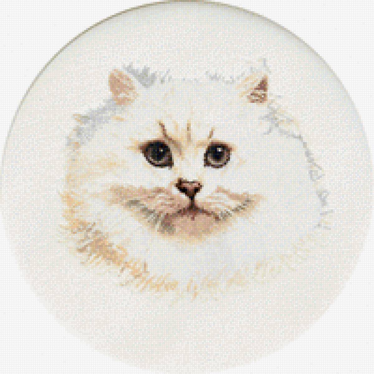 умка - персидская белая кошка, кошка - предпросмотр