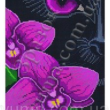 Схема вышивки «Пума, орхидея,»