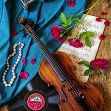 Схема вышивки «Розы,скрипка»