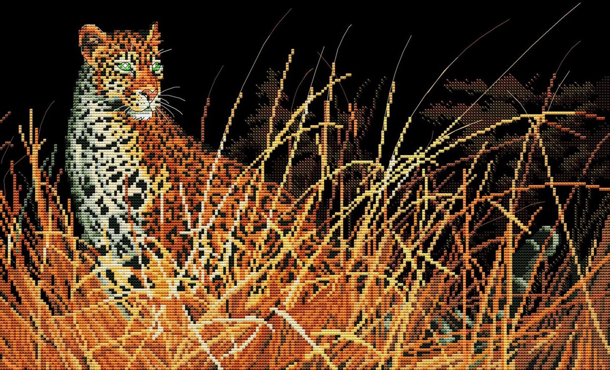 Hunting Leopard - leopard - оригинал