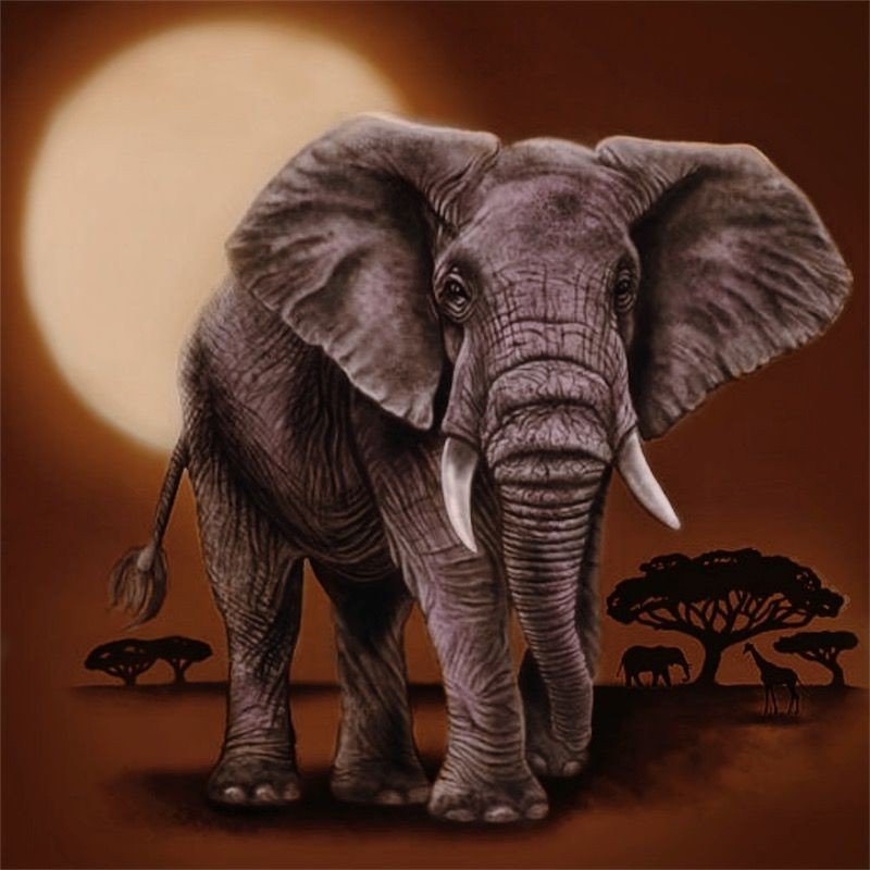 Слон - слон, африка, животное - оригинал