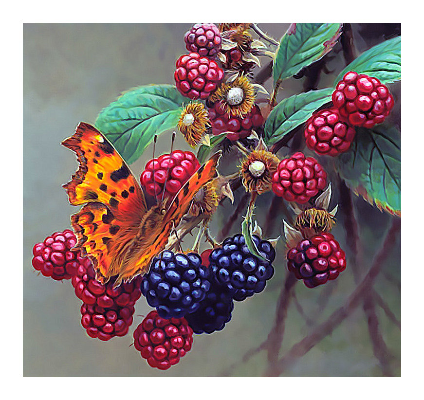 Ягоды и бабочка. - ежевика, ягоды, живопись, бабочка - оригинал
