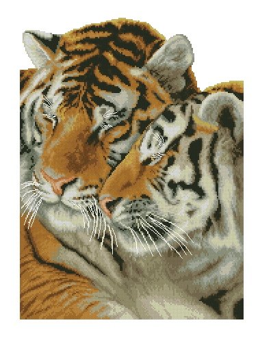tigres - selva, fauna, animales - оригинал