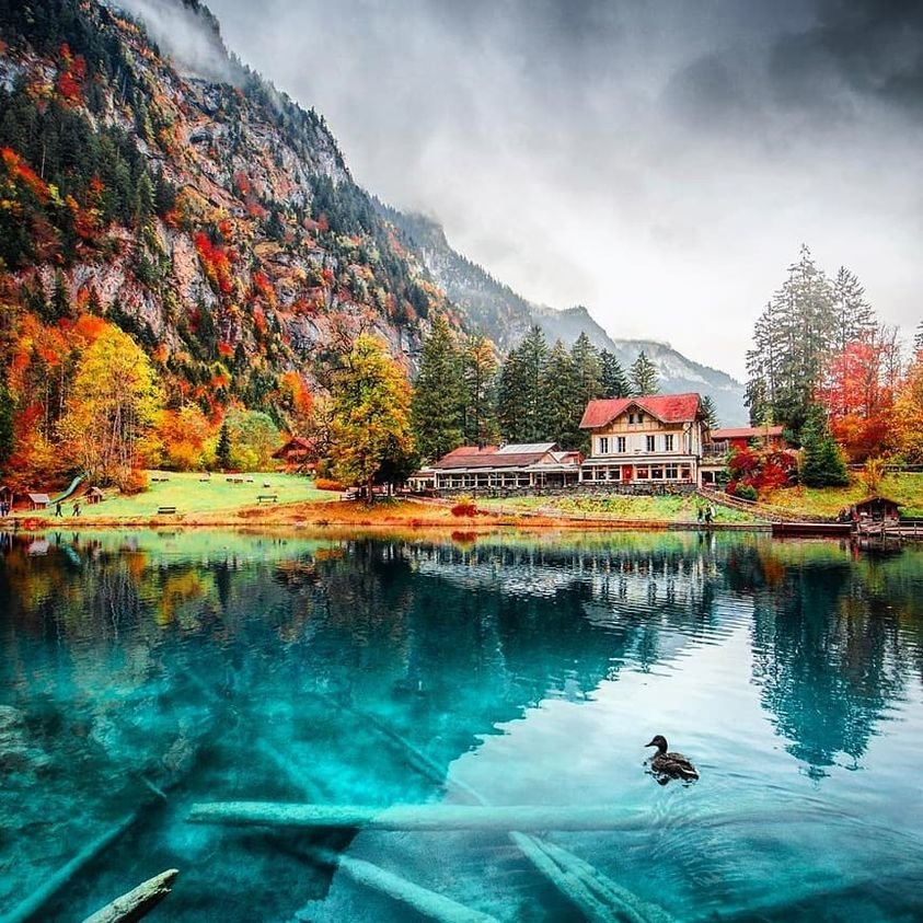 Озеро Блау, Швейцария - озеро, осень, пейзаж, горы - оригинал