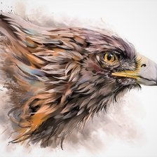 Схема вышивки «Eagle»