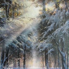 Схема вышивки «Зимний лес. Виктор Юшкевич»