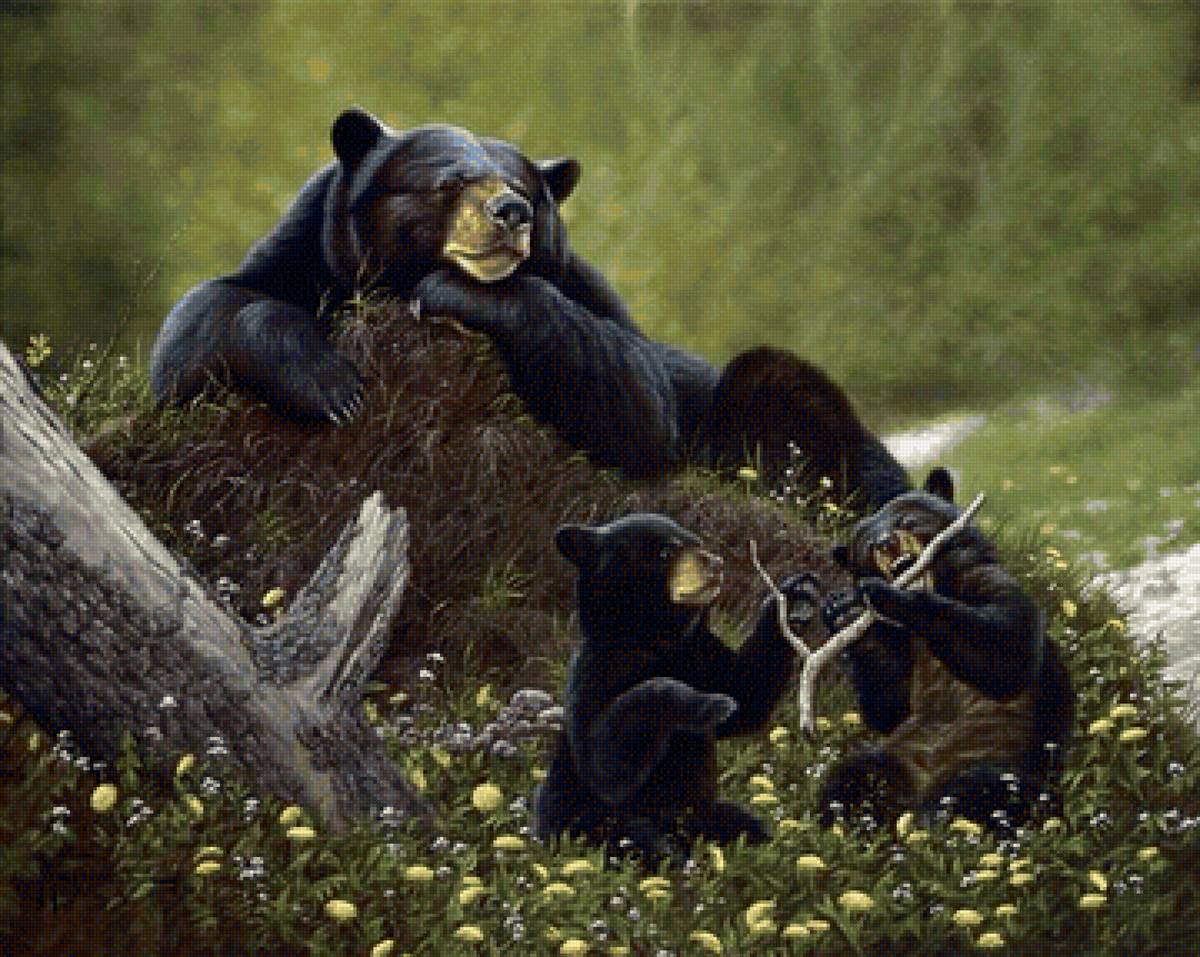 медведи 2 - животные, медведи, цветы - предпросмотр