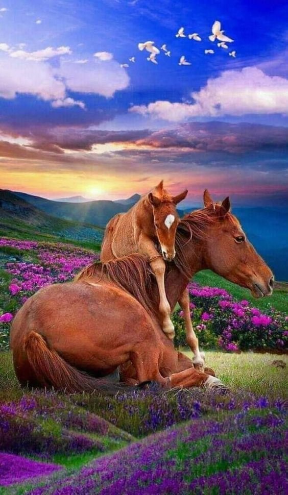 Mother Horse and Foal - horses - оригинал