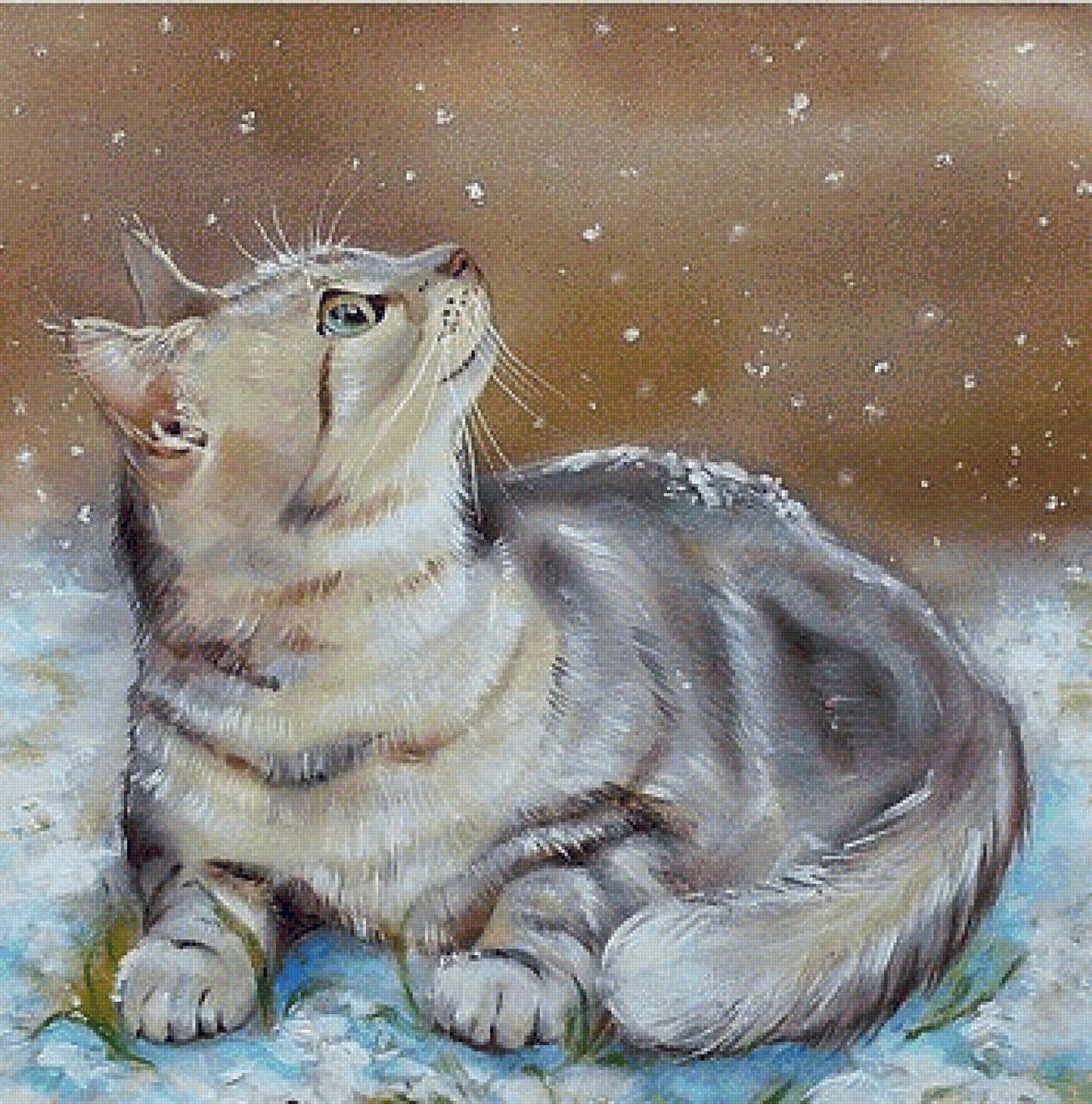 Зимний кот - снег, зима, кот - предпросмотр