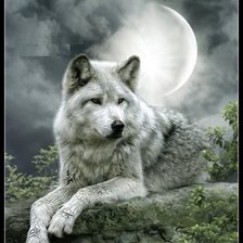 Схема вышивки «Ночной волк»