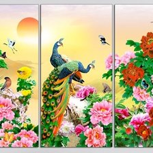 Peacock Triptych