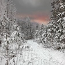 Схема вышивки «вечер»