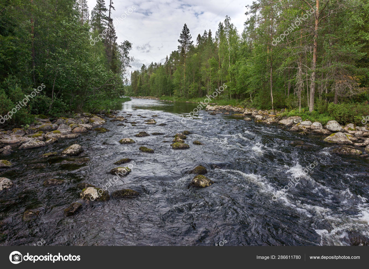 Бурная река - природа, лес, река, пейзаж - оригинал