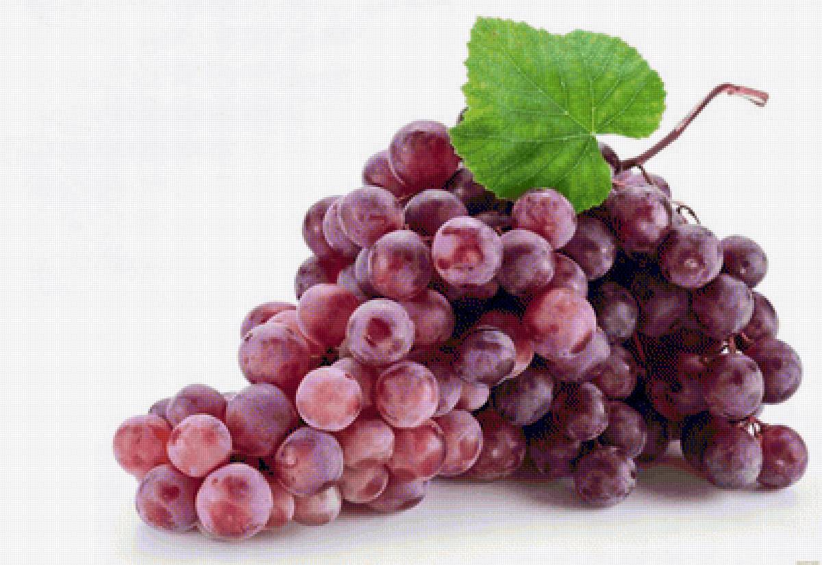 Виноград - ягоды, виноград - предпросмотр