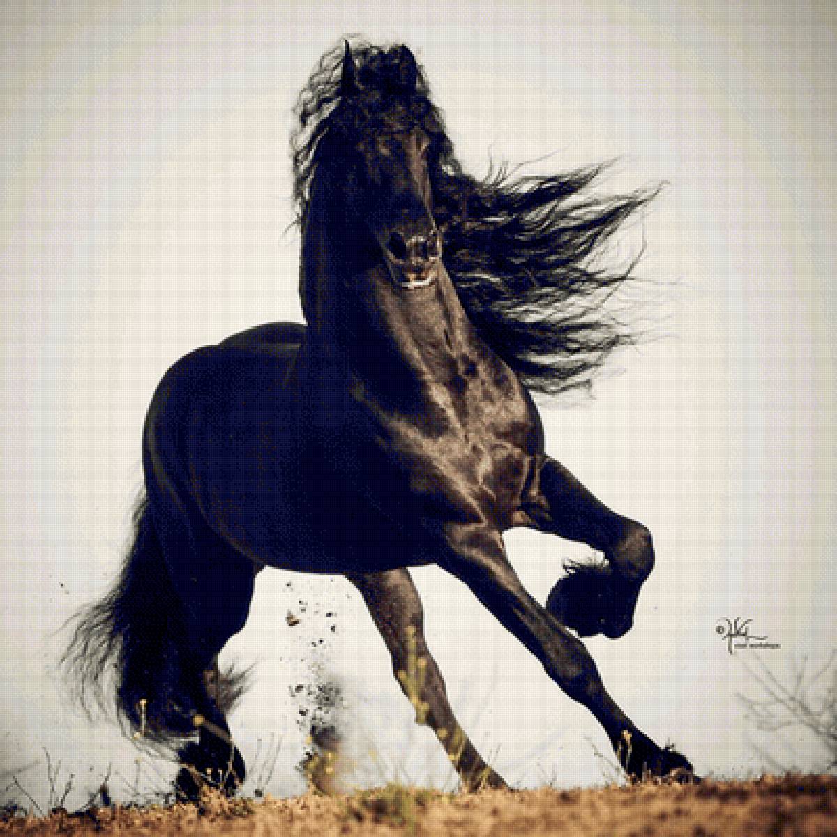 Конь-огонь - животные, конь, лошади - предпросмотр