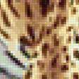 Предпросмотр схемы вышивки «ягуар» (№2303258)