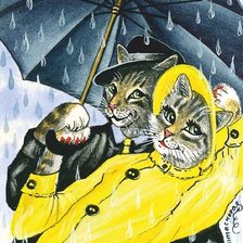 котики под дождем