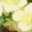Предпросмотр схемы вышивки «Цветы» (№2311115)