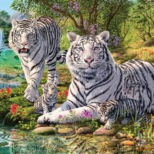 Семья белых тигров