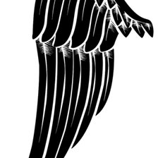 Схема вышивки «Крыло»