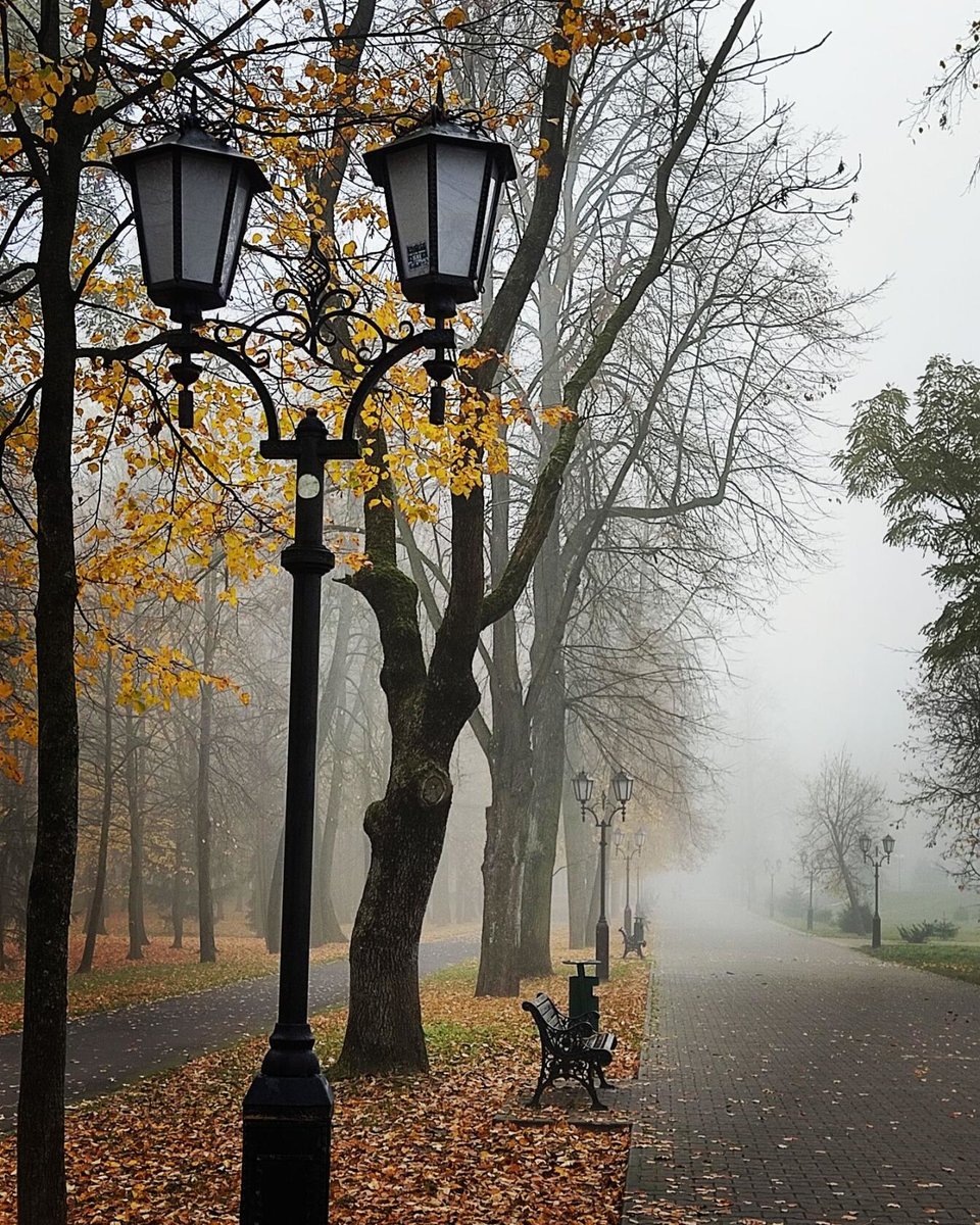 Поздняя осень. - туман, пейзаж осень, фонарь, поздняя, парк, скамейка - оригинал