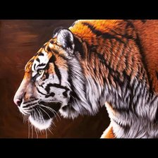 Схема вышивки «Крадущийся тигр»