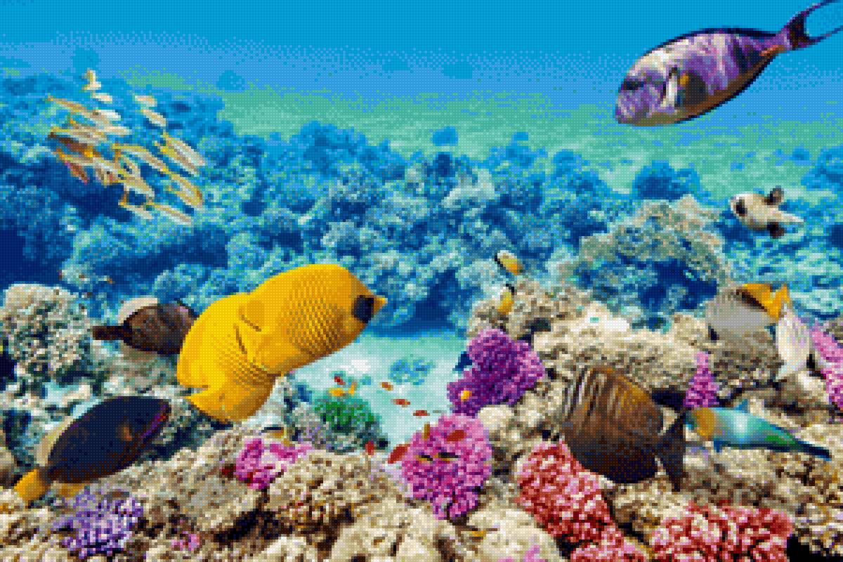 Рыбы - океан, подводный мир, рыбы - предпросмотр