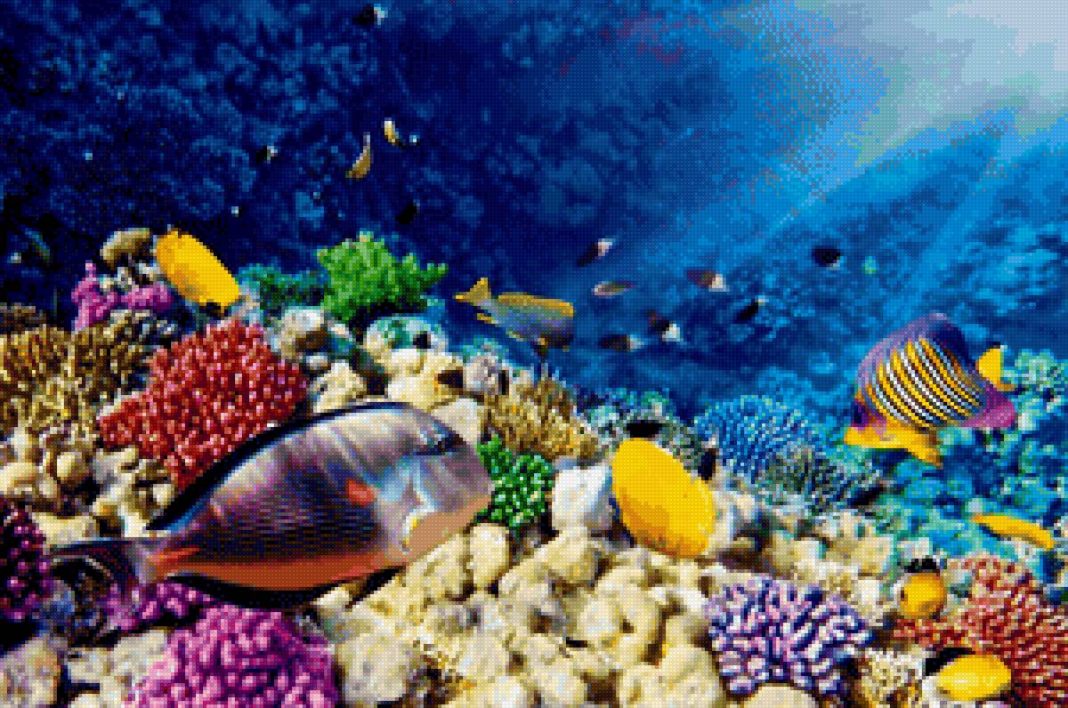 Рыбы - подводный мир, рыбы, океан - предпросмотр