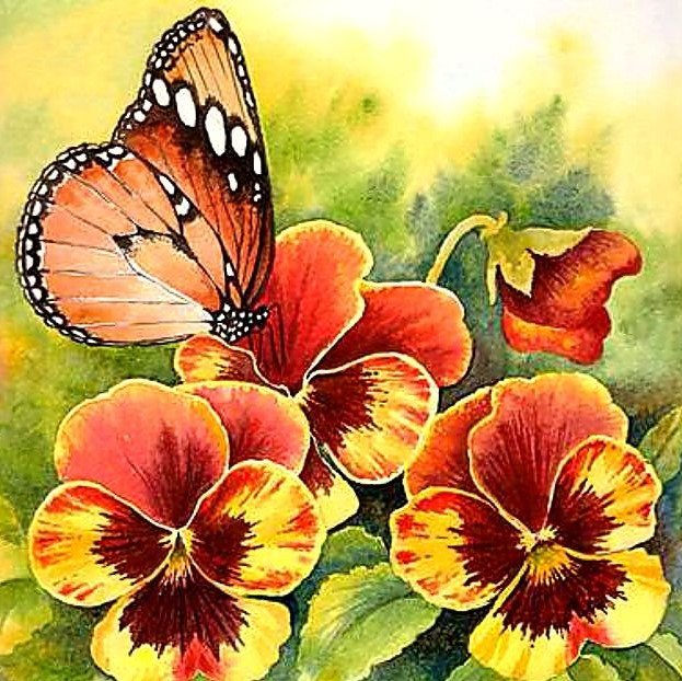 Анютины глазки - бабочка, лето., цветы, анютины глазки - оригинал