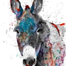 Donkey medium