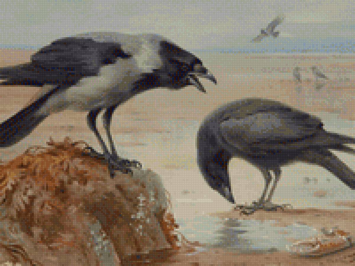 серая ворона и черный ворон - черныйворон, сераяворона - предпросмотр