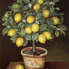 Схема вышивки «Дерево лимон»
