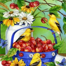 Схема вышивки «Pássaros.e Frutas.»